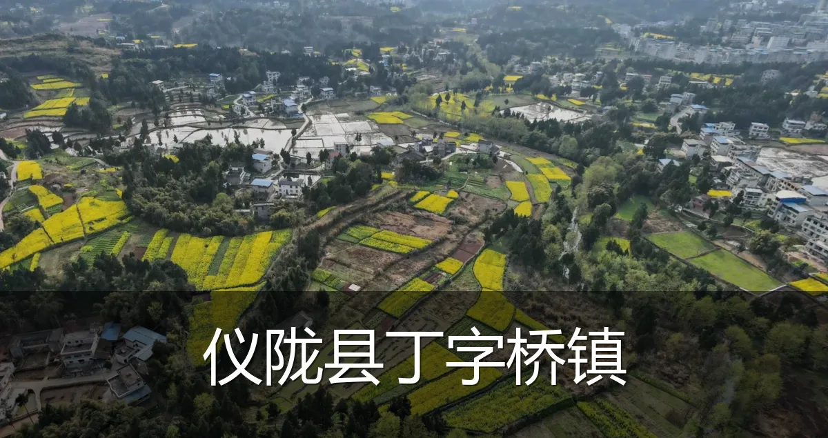 仪陇县丁字桥镇