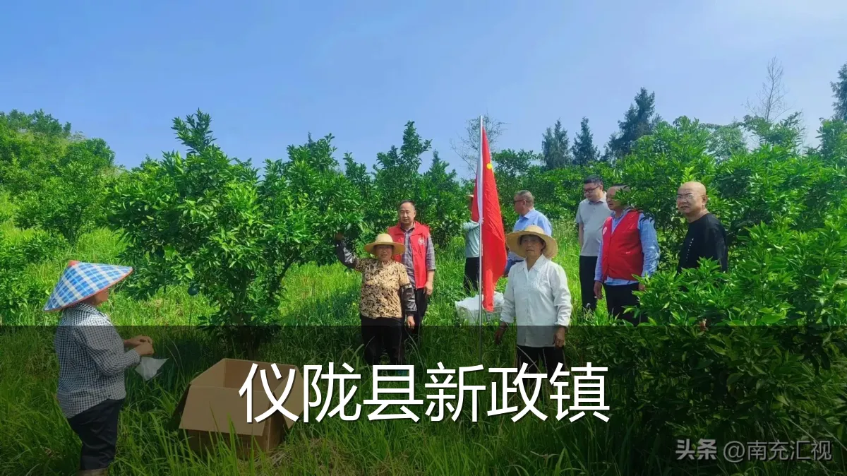 仪陇县新政镇